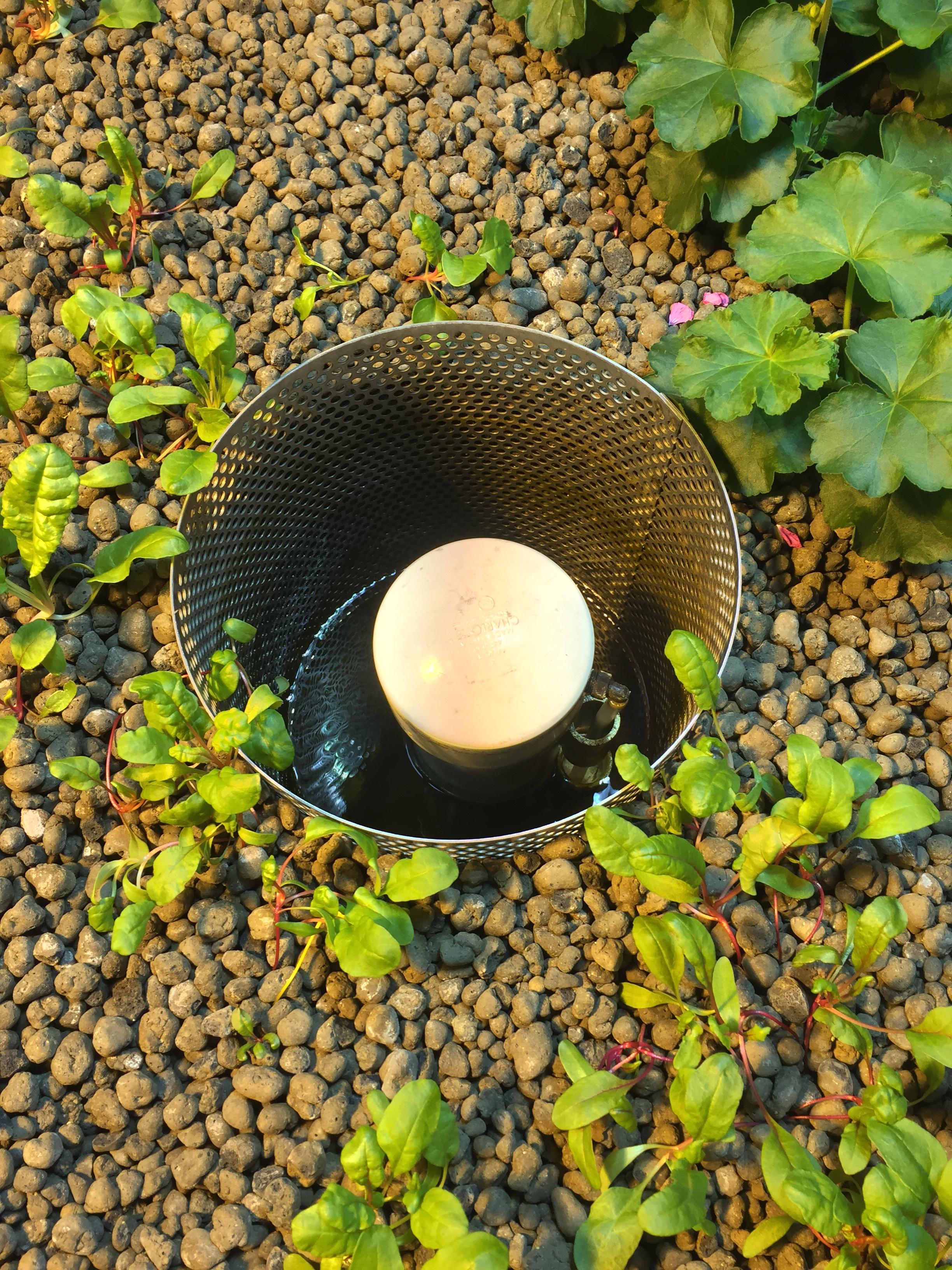 Aquaponics bell siphon 